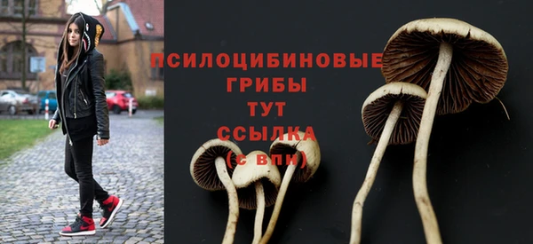 бутират Аша