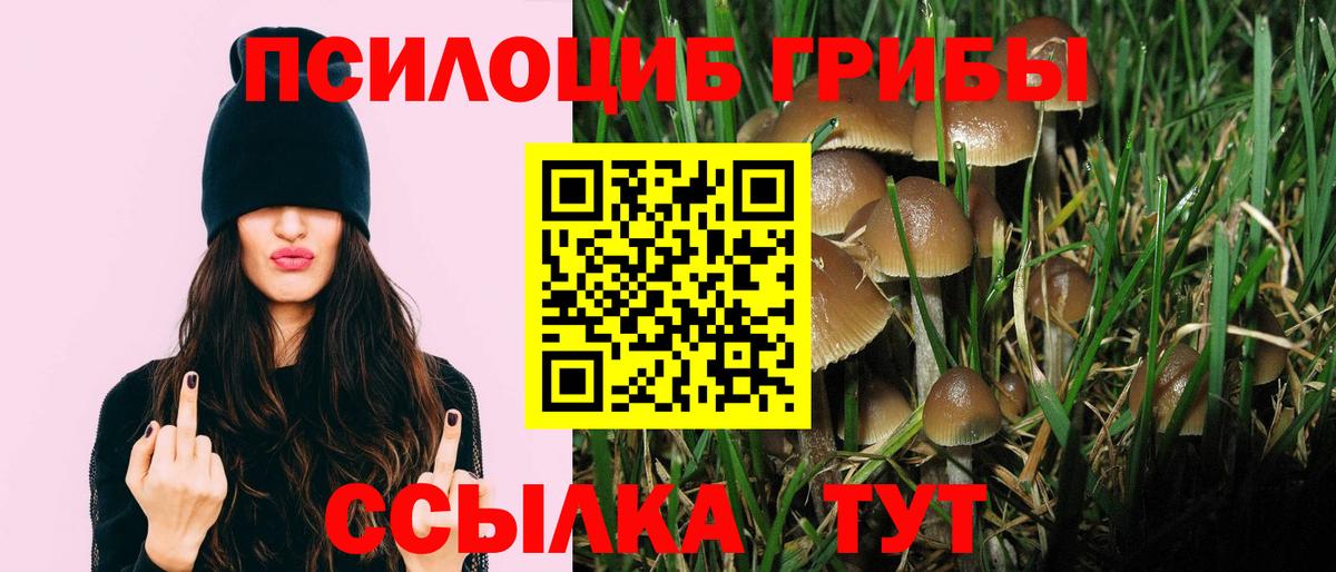 Галлюциногенные грибы GOLDEN TEACHER Шахты